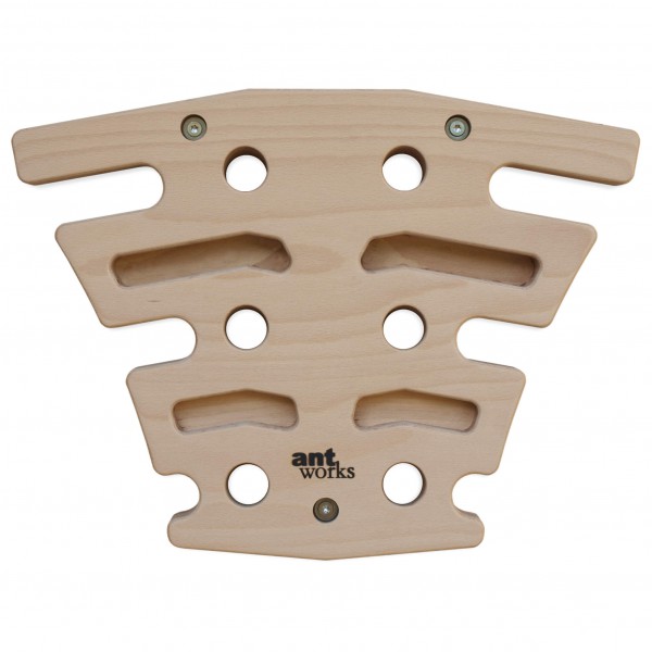 ANTWORKS Power Ant Mini - Trainingsboard