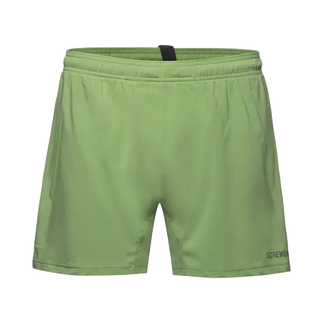 GOREWEAR Concurve 5" Brief - Laufshorts Herren