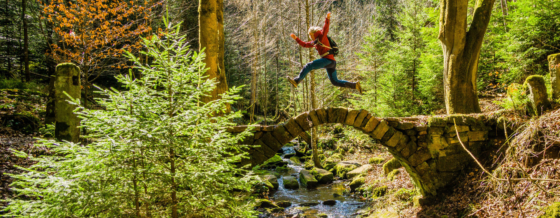 5 Mehrtageswanderungen Nördlicher Schwarzwald - Baden-Württemberg