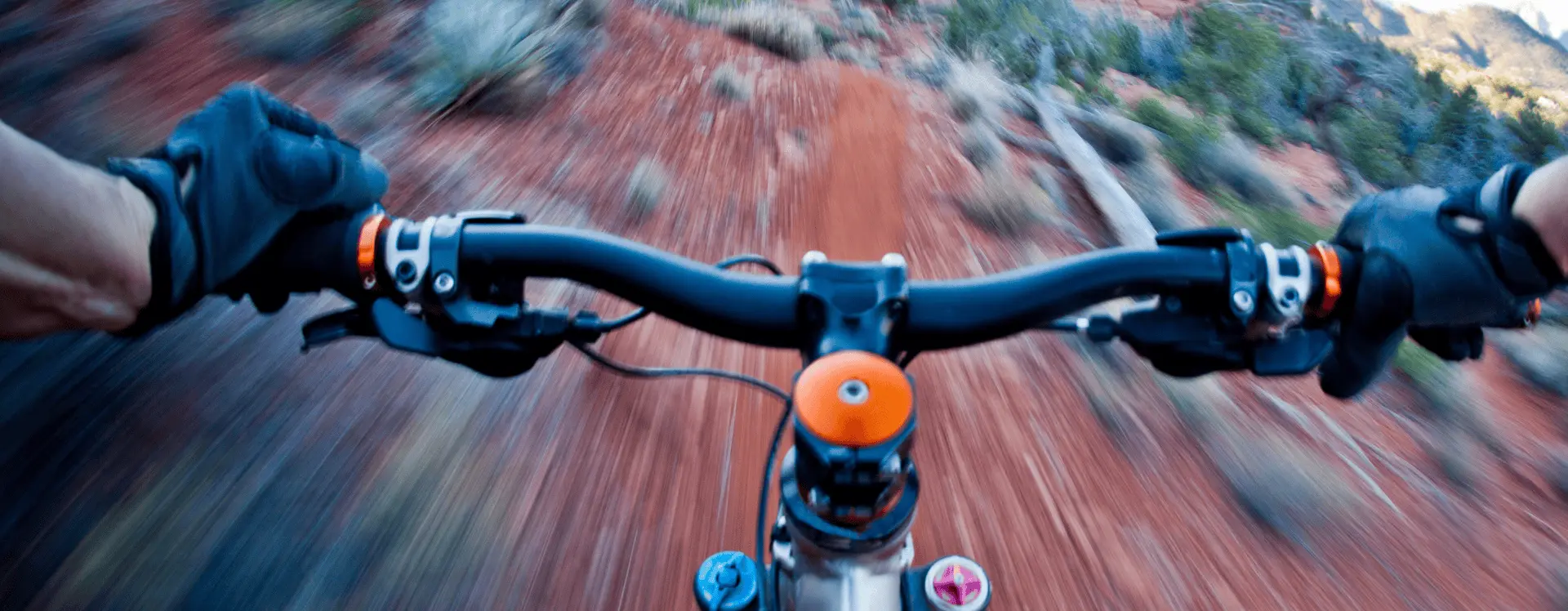 MTB im Aktion. Foto: Canva.
