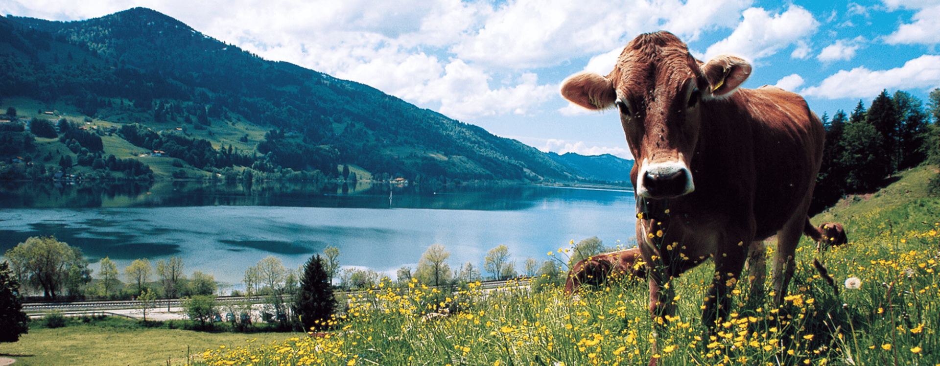 4 abwechslungsreiche Wanderungen im Oberallgäu - Bayern