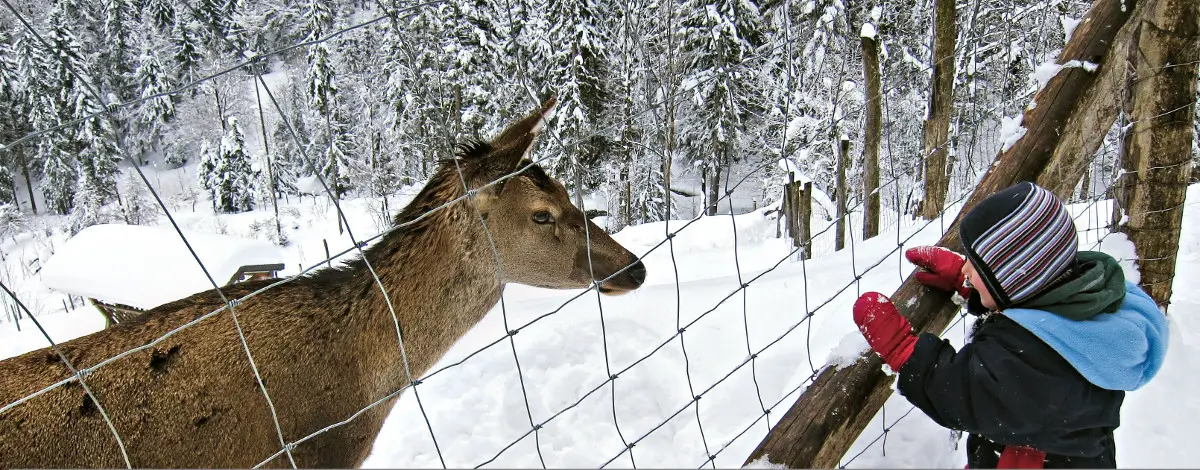 WinterErlebnis-Touren Kinder München Hausberge Oberbayern