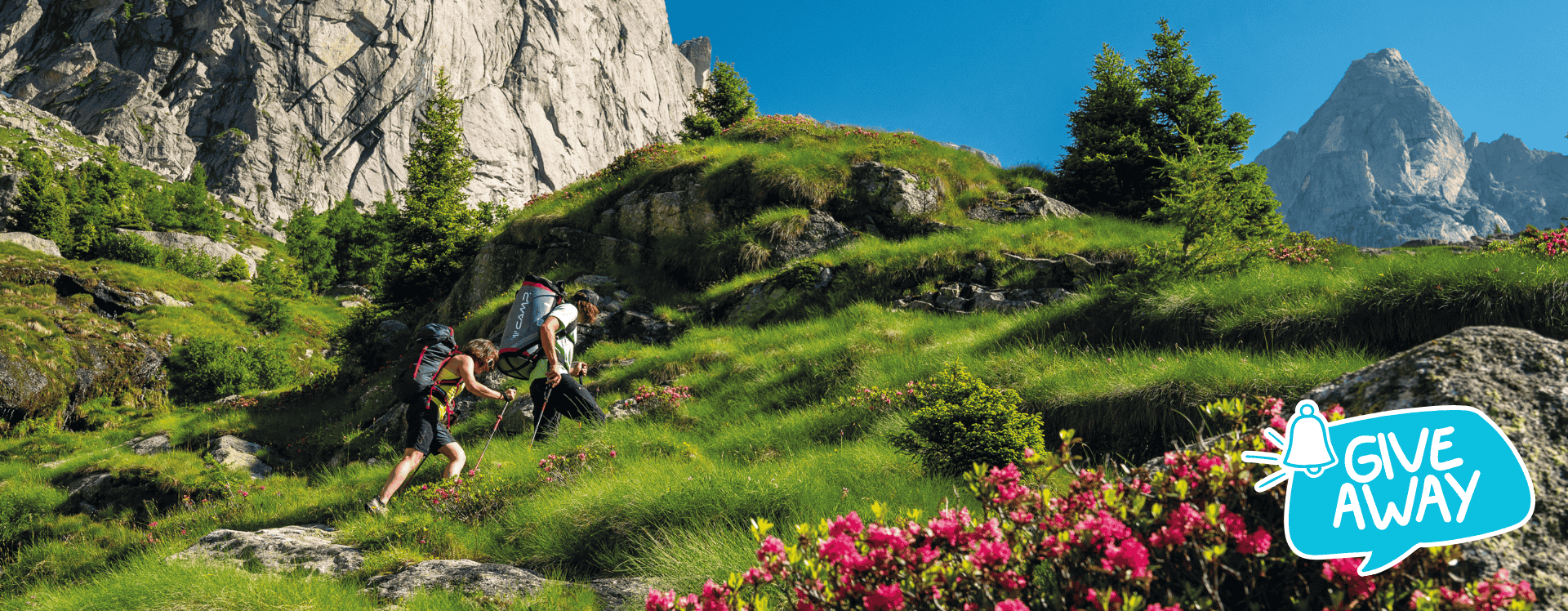 C.A.M.P. Trekkingstock Laser ADJ für Damen und Herren