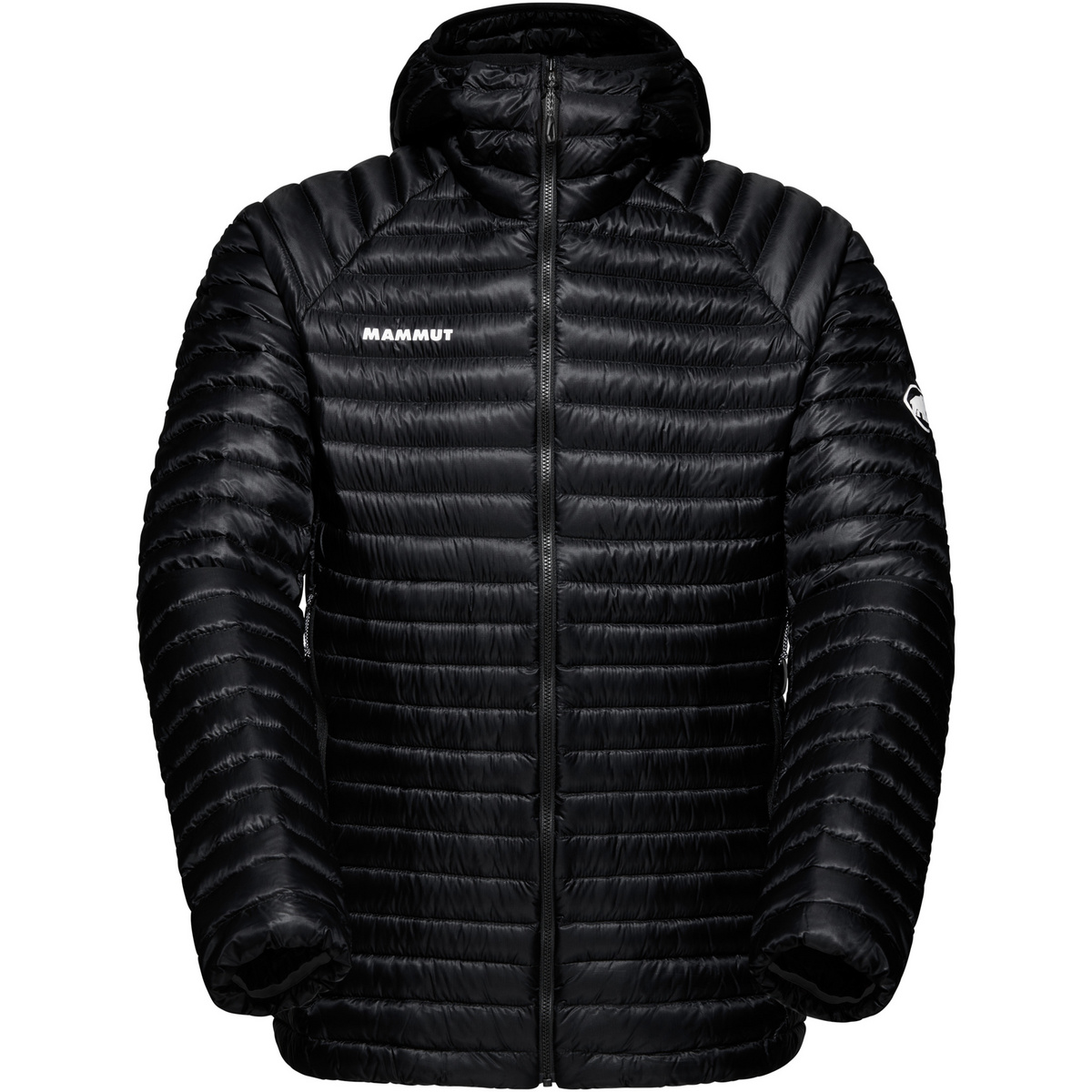 Mammut Herren Aenergy In Hoodie Jacke