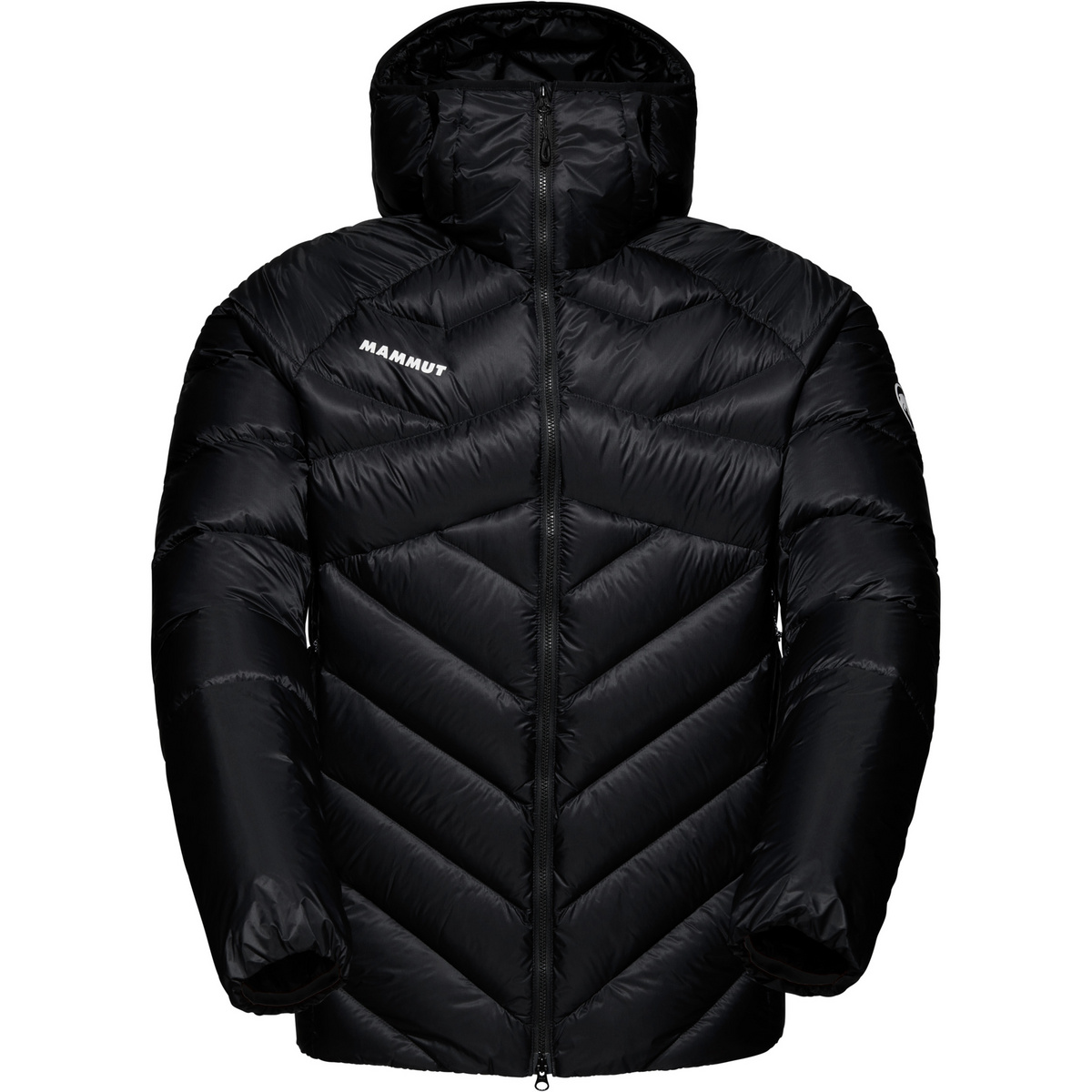 Mammut Herren Taiss In Hoodie Jacke