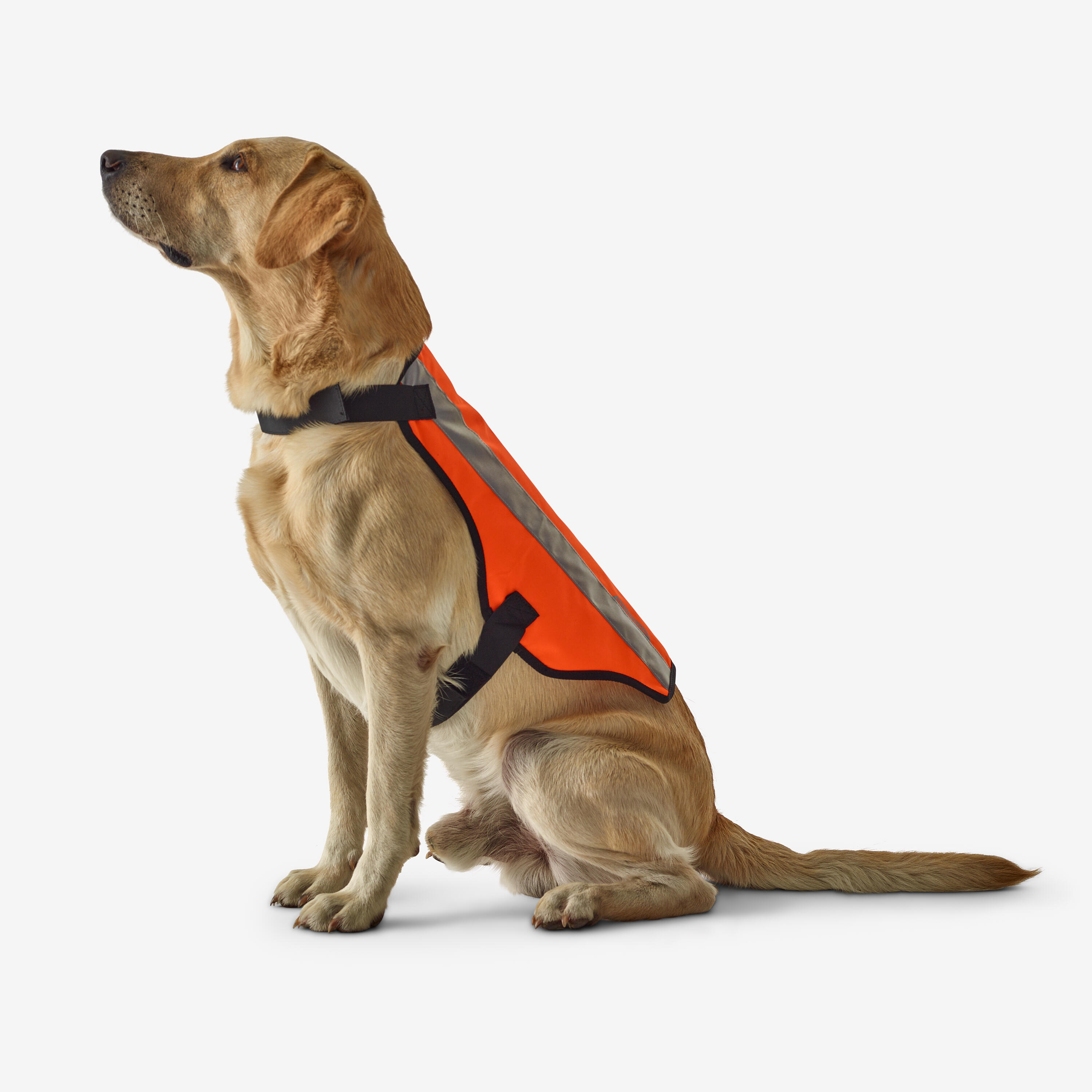 Hundeweste orange 100