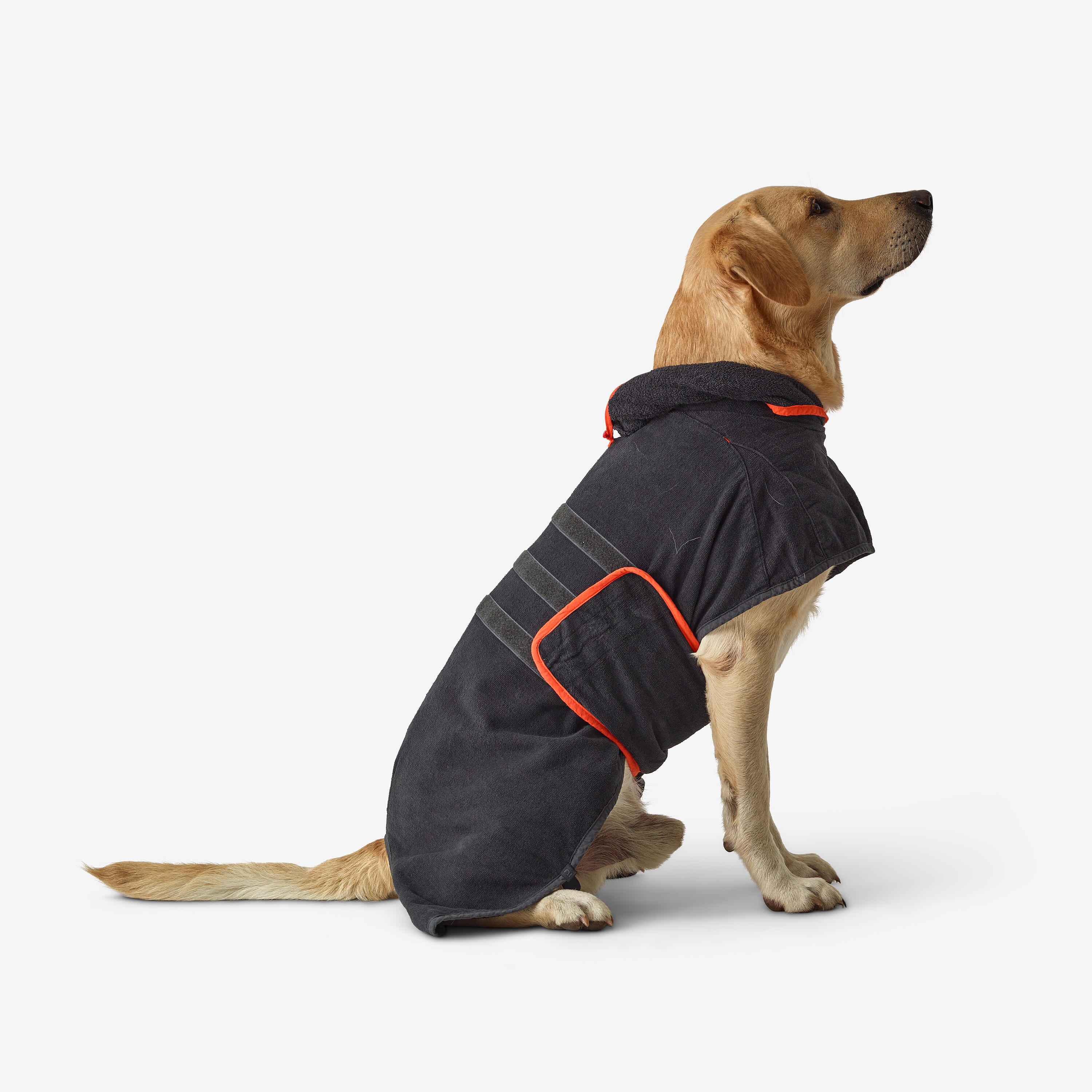 Hundebademantel / Hundeweste