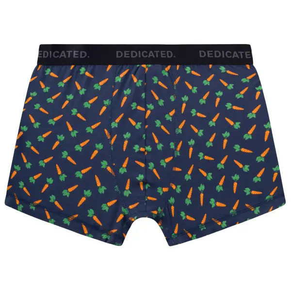 DEDICATED - Boxer Briefs Kalix Carrots - Alltagsunterwäsche Gr S blau