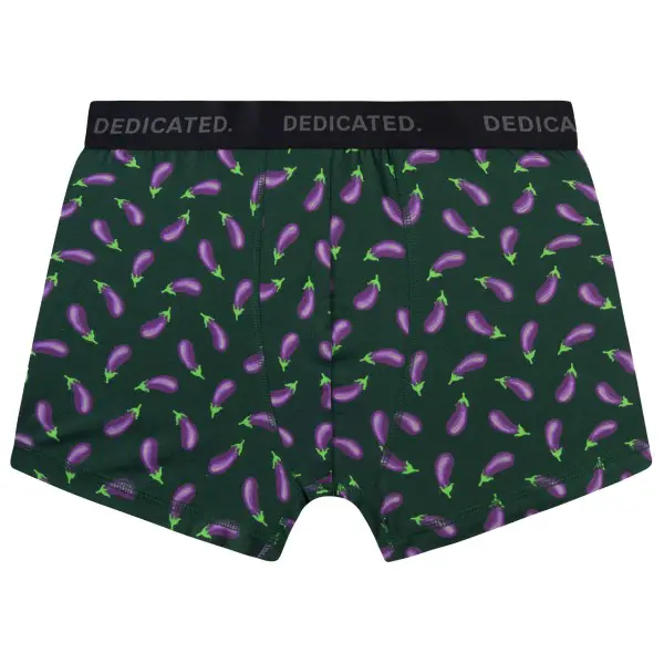 DEDICATED - Boxer Briefs Kalix Egg Plant - Alltagsunterwäsche Gr S grün