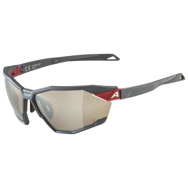 Alpina - Twist Six Q Mirror S3 - Fahrradbrille grau