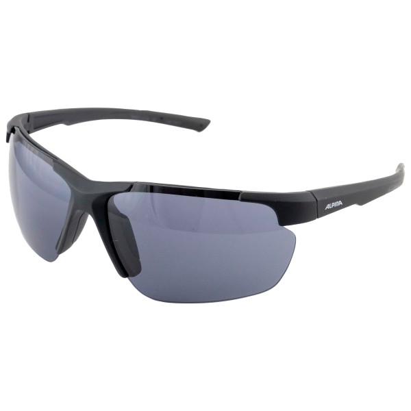 Alpina - Defey HR S3 - Sonnenbrille grau