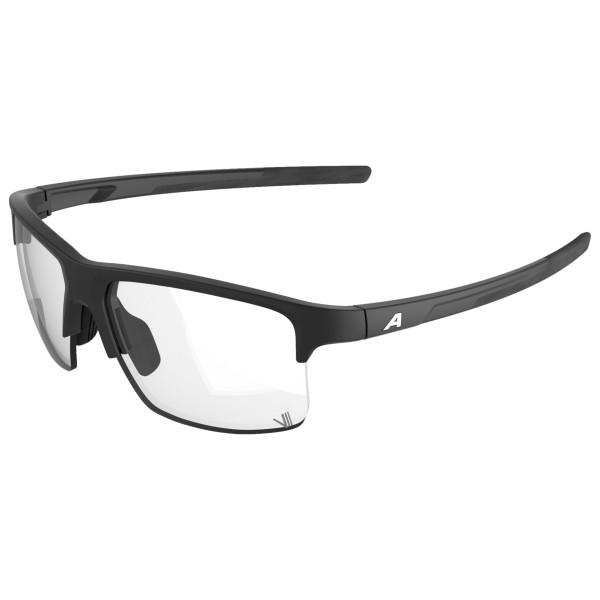 Alpina - Eagle V Photochromic S1-3 - Sonnenbrille grau