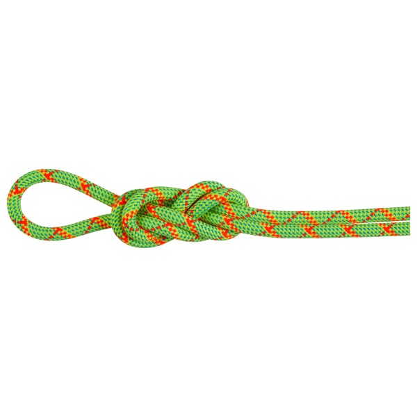 Mammut - 8.0 Alpine Core Protect Dry Rope - Halbseil Gr 30 m grün