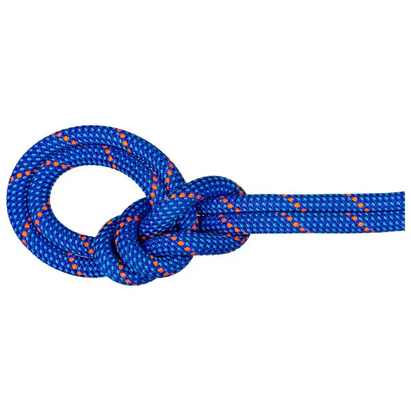 Mammut - 9.5 Crag Dry Rope - Einfachseil Gr 40 m blau
