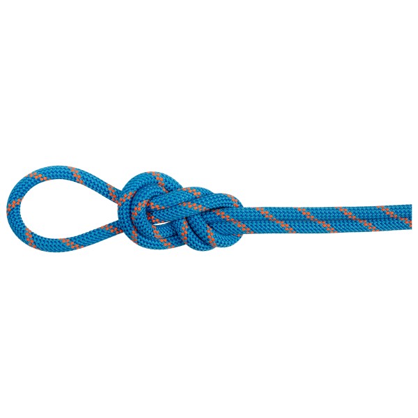 Mammut - 8.0 Alpine Dry Rope - Halbseil Gr 60 m blau/weiß