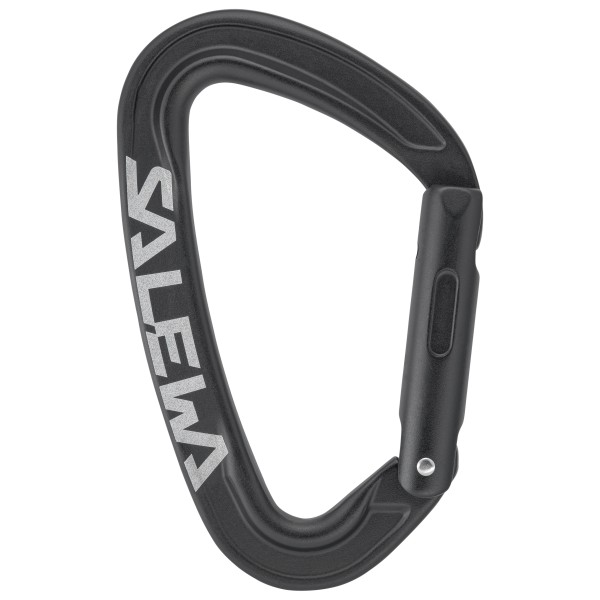 Salewa - Ortles Straight Carabiner - Schnappkarabiner grau