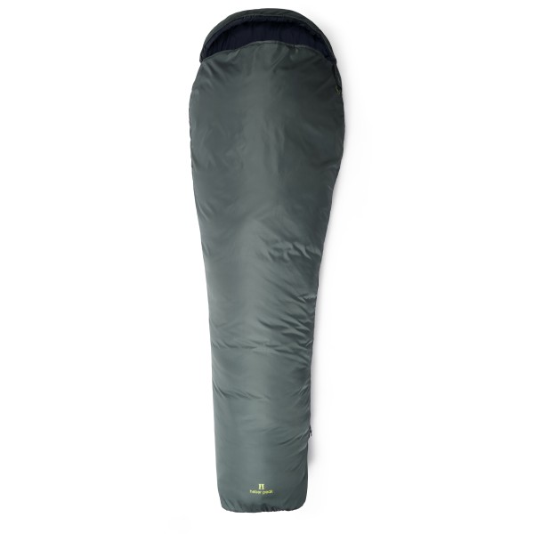 Heber Peak - ConiferHe. +10°C Sleeping Bag - Kunstfaserschlafsack Gr Large chameleon