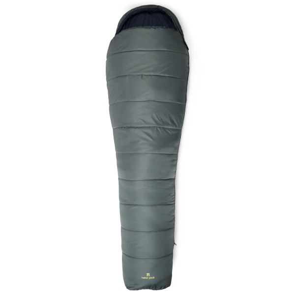 Heber Peak - ConiferHe. +5°C Sleeping Bag - Kunstfaserschlafsack Gr Large chameleon