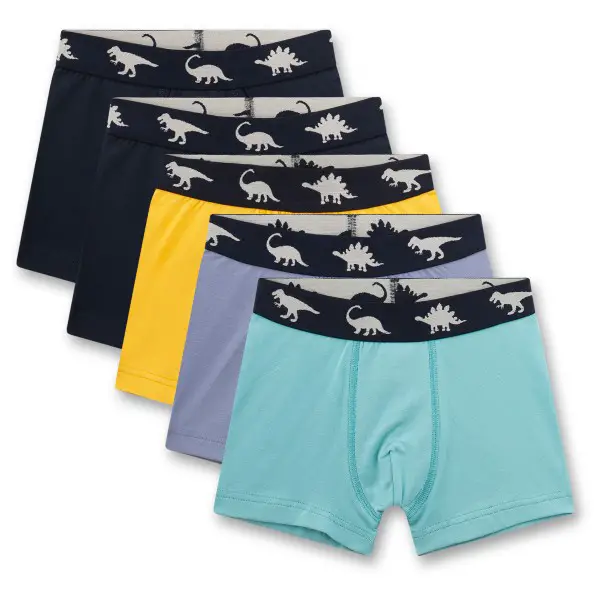 Sanetta - Kid's Set Shorts 337241 - Unterhose Gr 92 bunt
