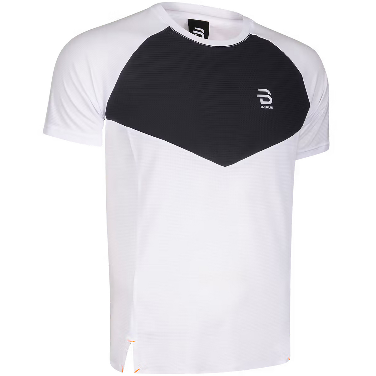 Daehlie Herren Run 365 T-Shirt
