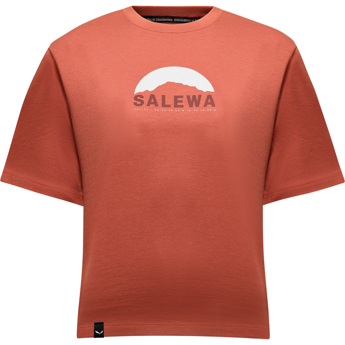 Salewa Damen Eagle Sunrise T-Shirt