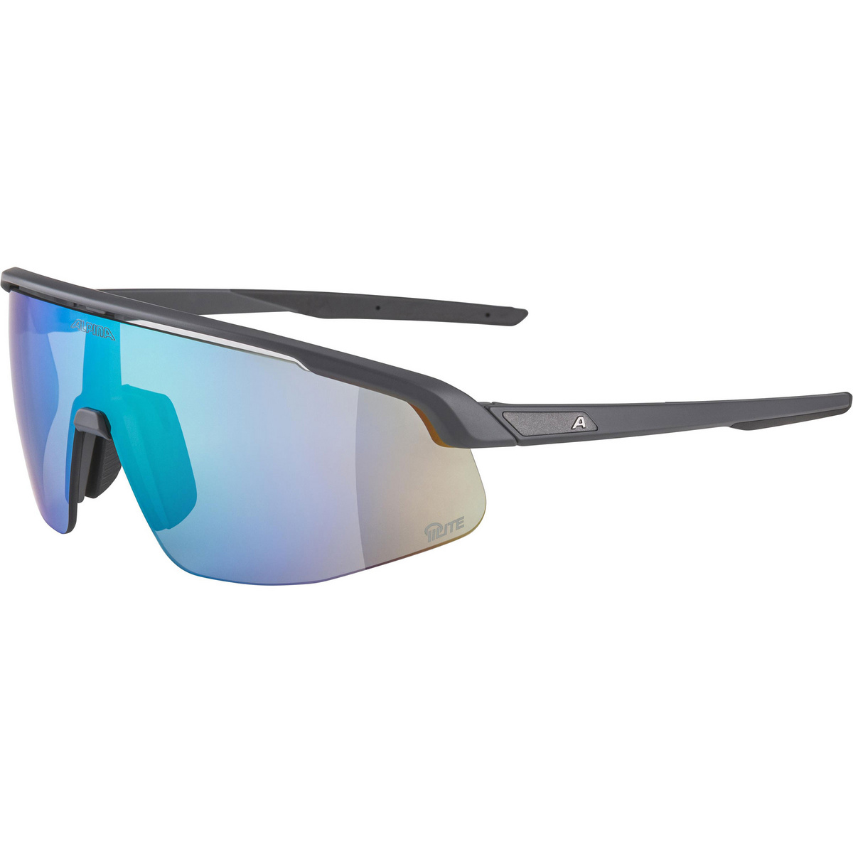 Alpina Turbo Pro Q-Lite Sportbrille