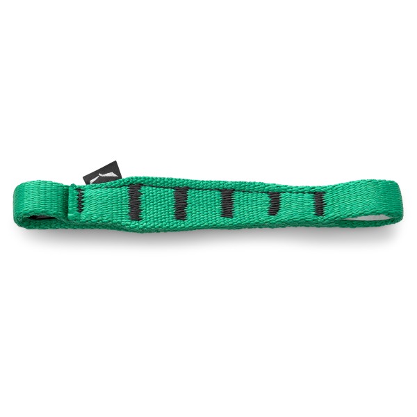 Salewa - Ortles QD Sling 170 - Express-Schlinge Gr 170 mm türkis
