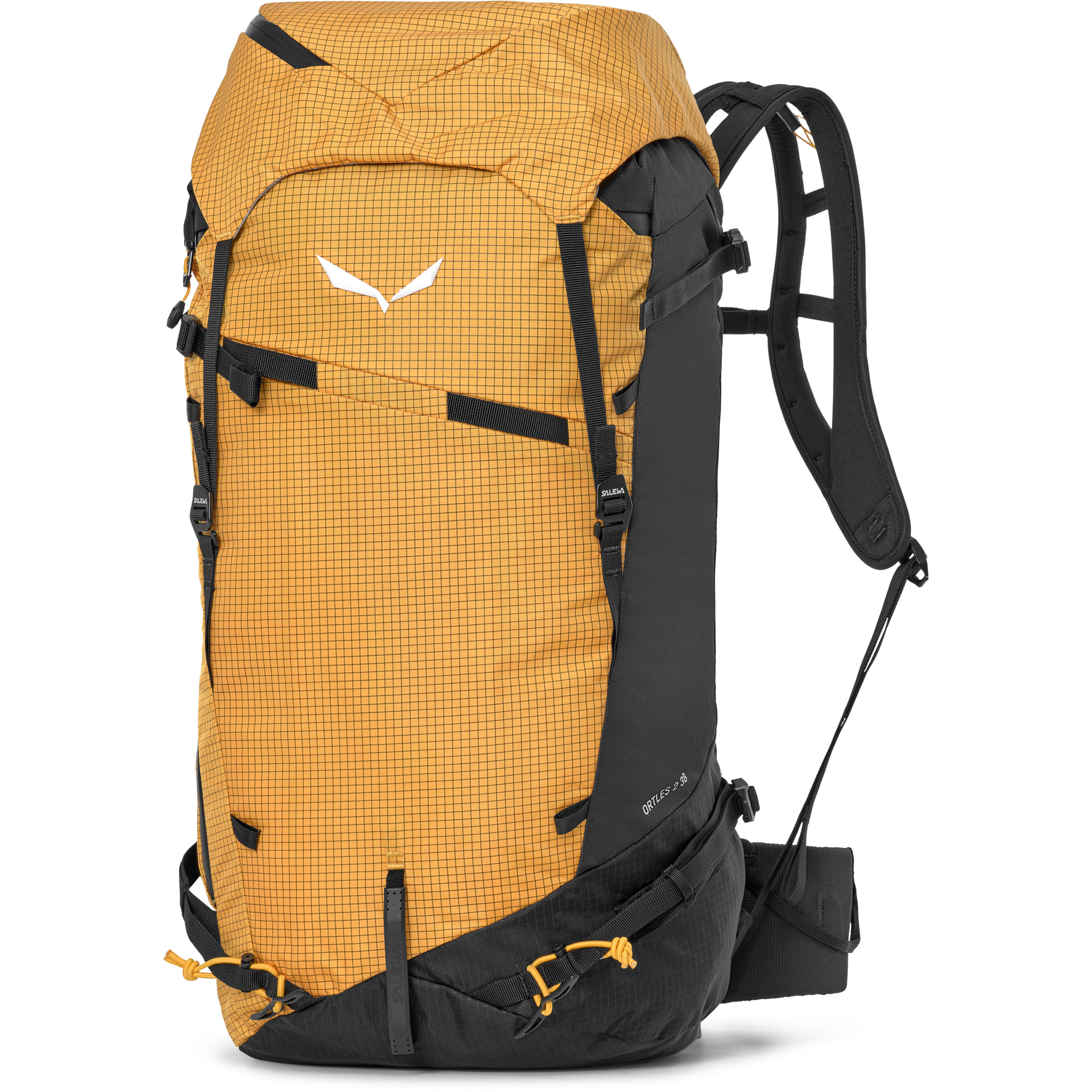 Salewa Ortles Guide 2 38L Rucksack