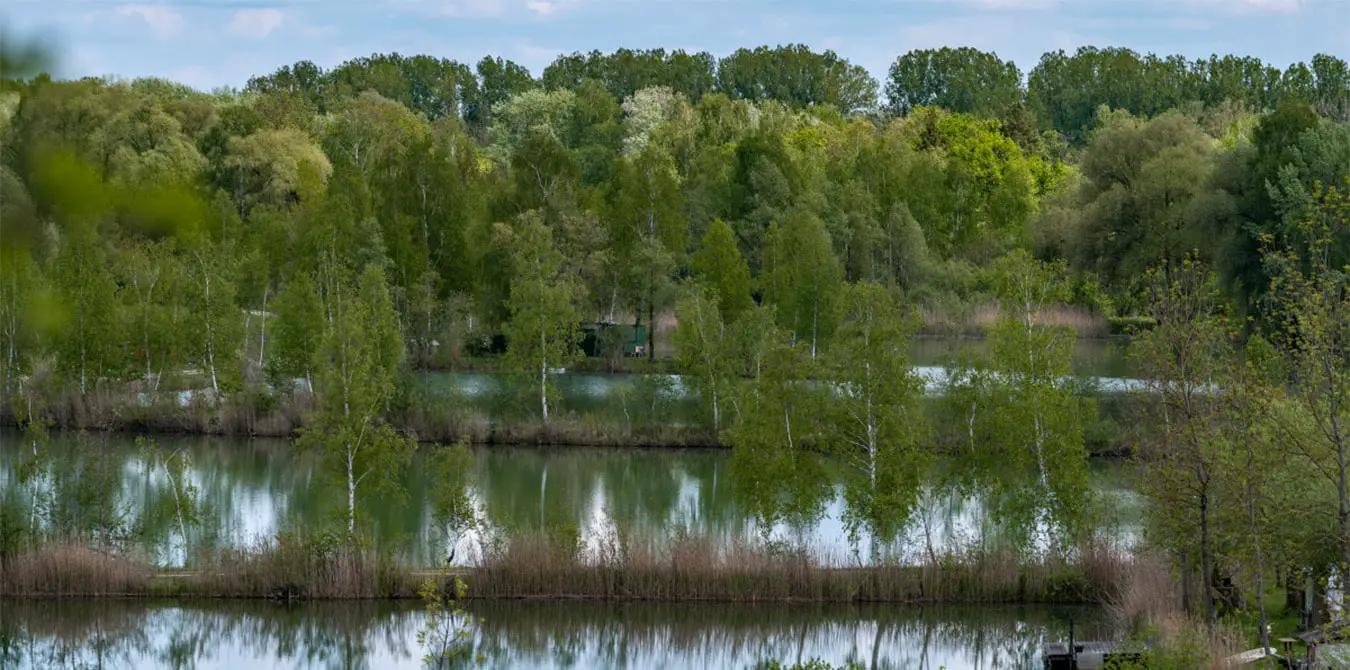 Donauwald