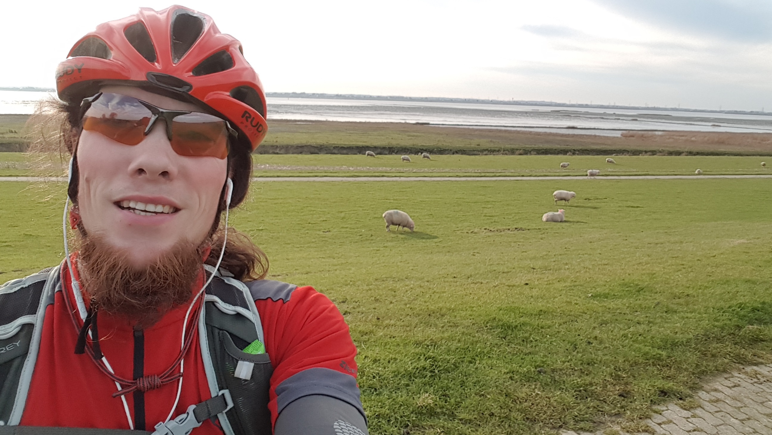 Radtour an der Elbe