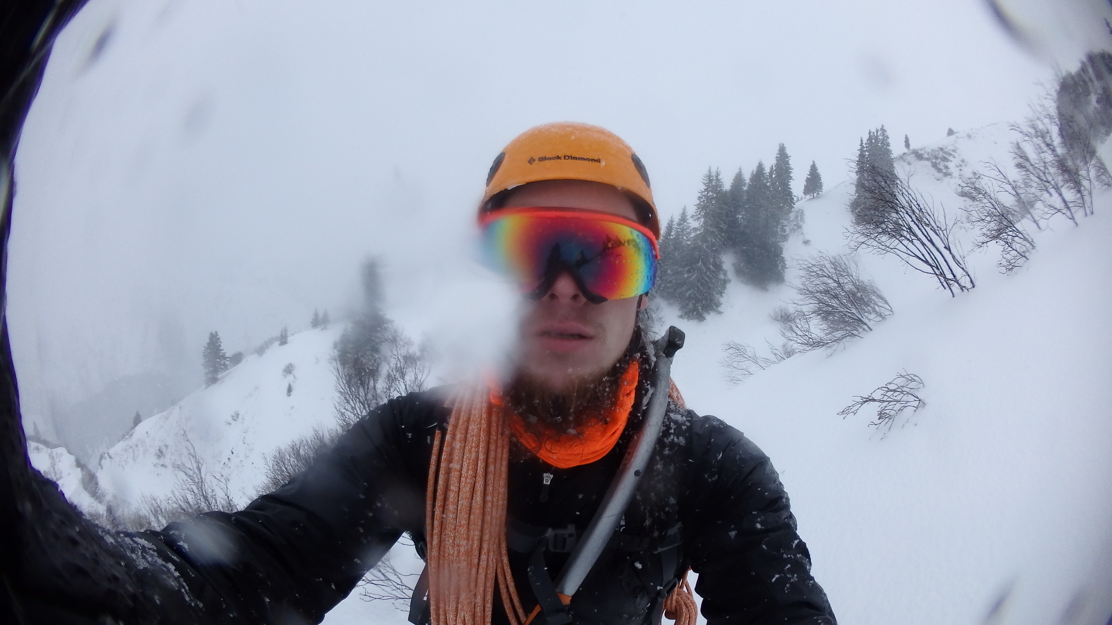 auf Wintertour 1
