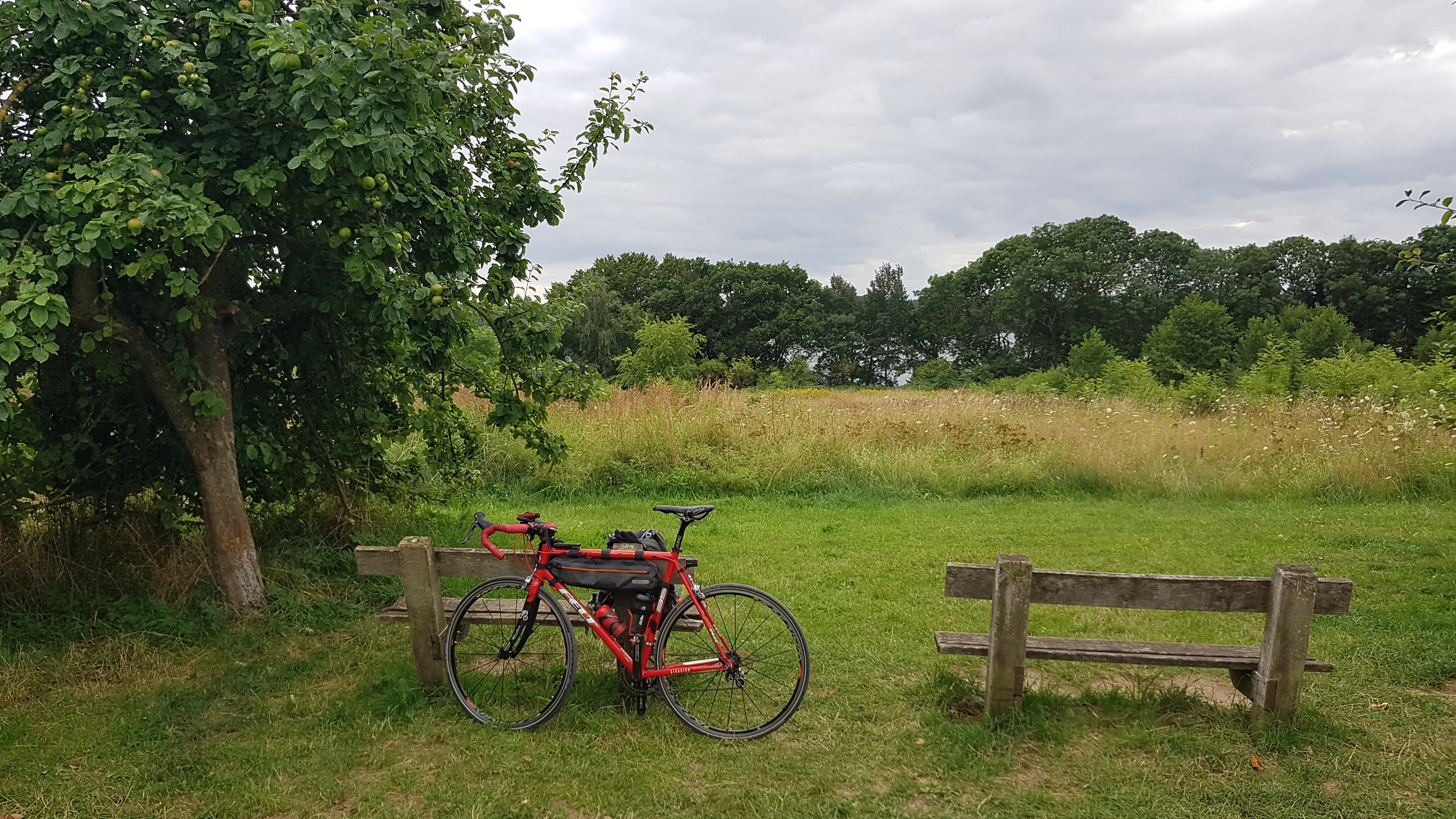 Rennrad am See
