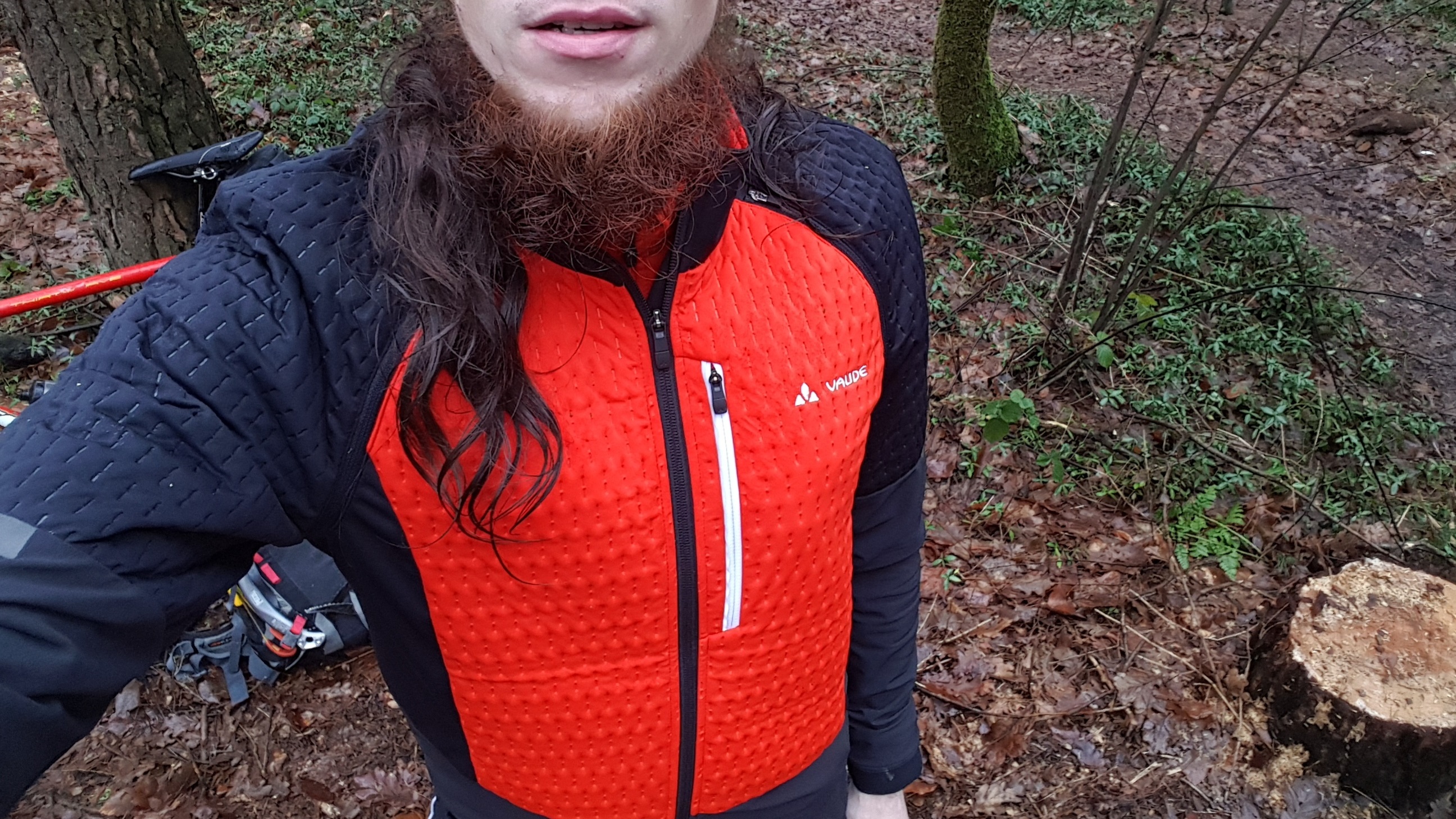 Mit dem Rad in den Wald 2