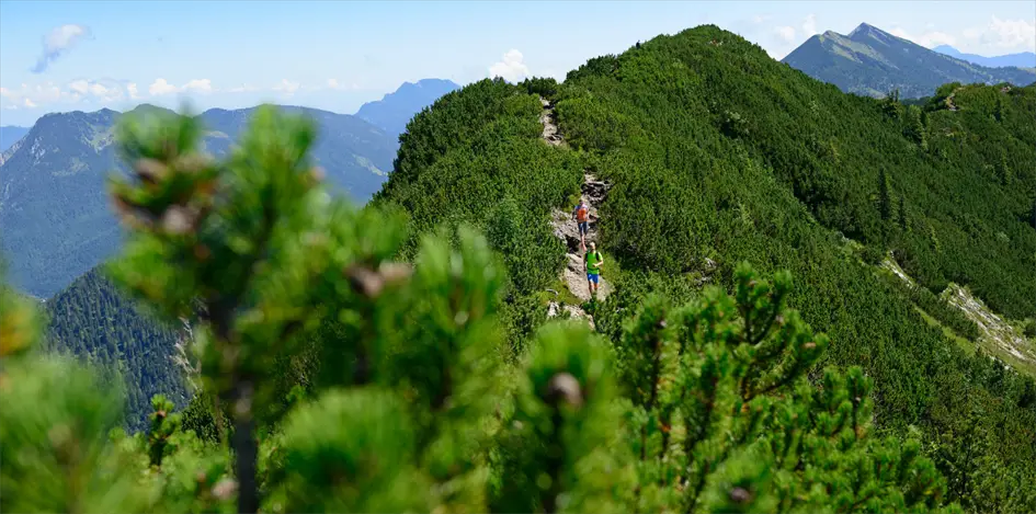 Trailrunning Reit im Winkl