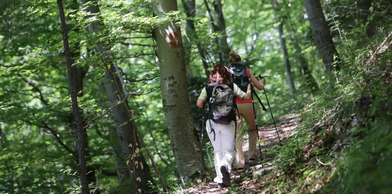 5 urige Wanderungen auf der Schwäbischen Alb um Bad Urach - Baden Württemberg