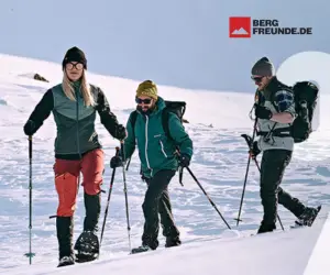 Skihandschuhe online kaufen