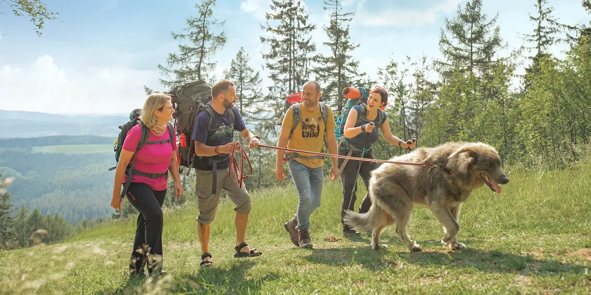 1_ Trekking im Frankenwald