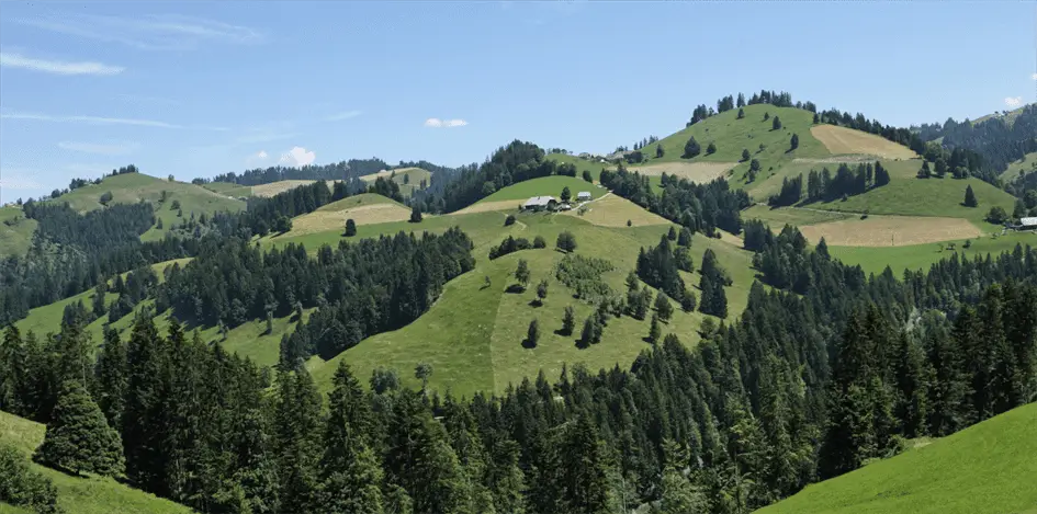 Emmental