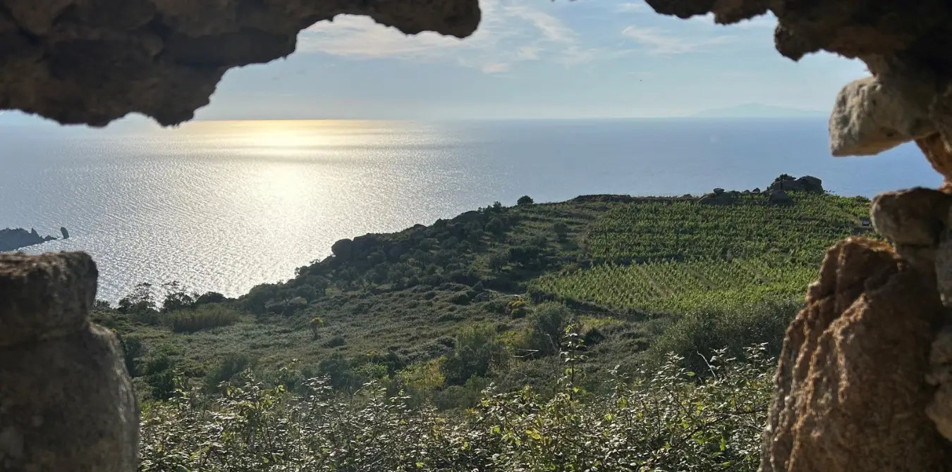 3 großartige Wanderungen auf der Insel Giglio - Italien