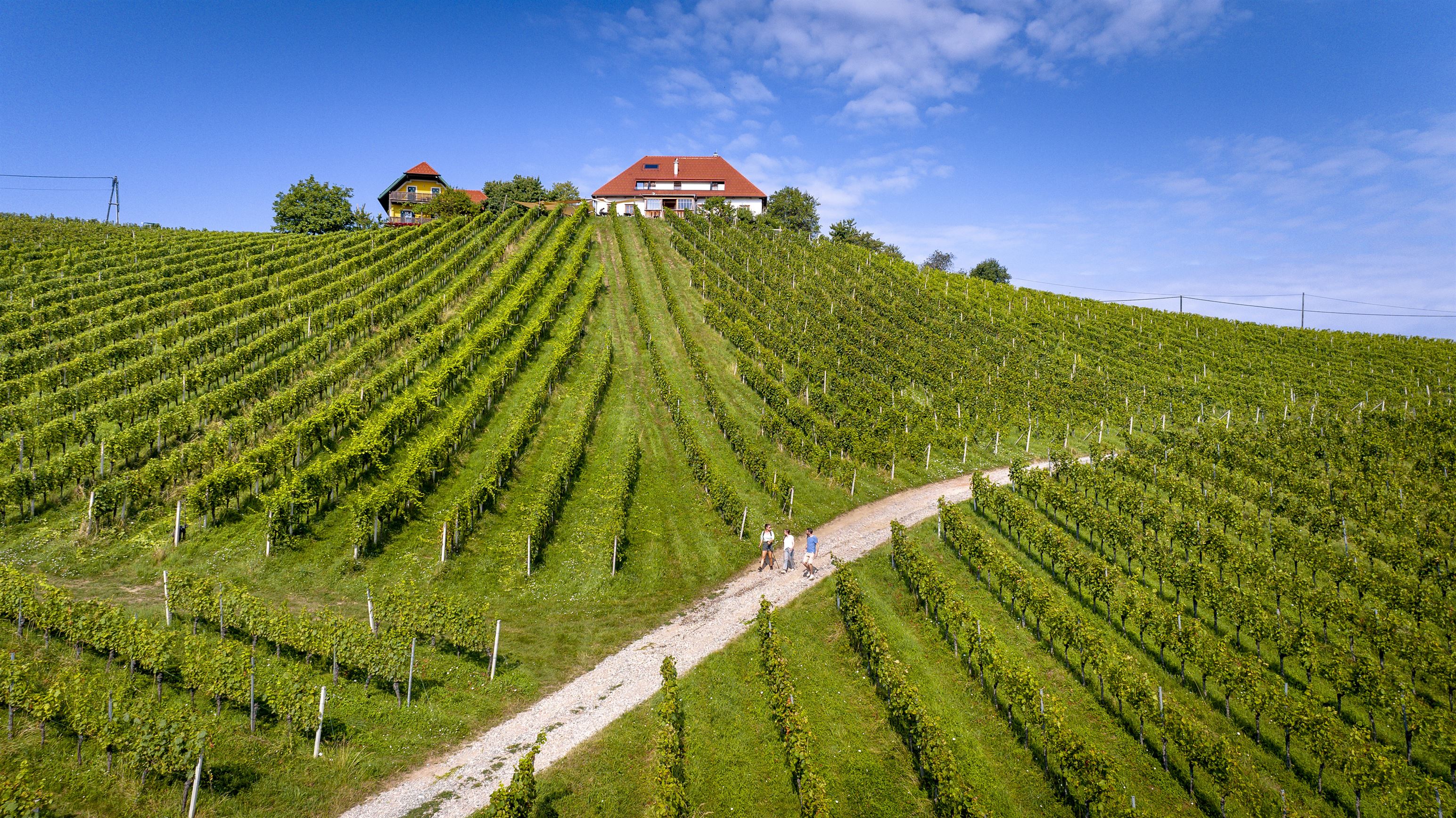 Südsteiermark Wandern