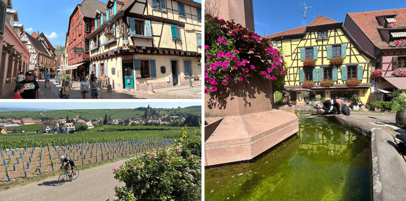 Gravelbike- und Rennradtouren im Elsass