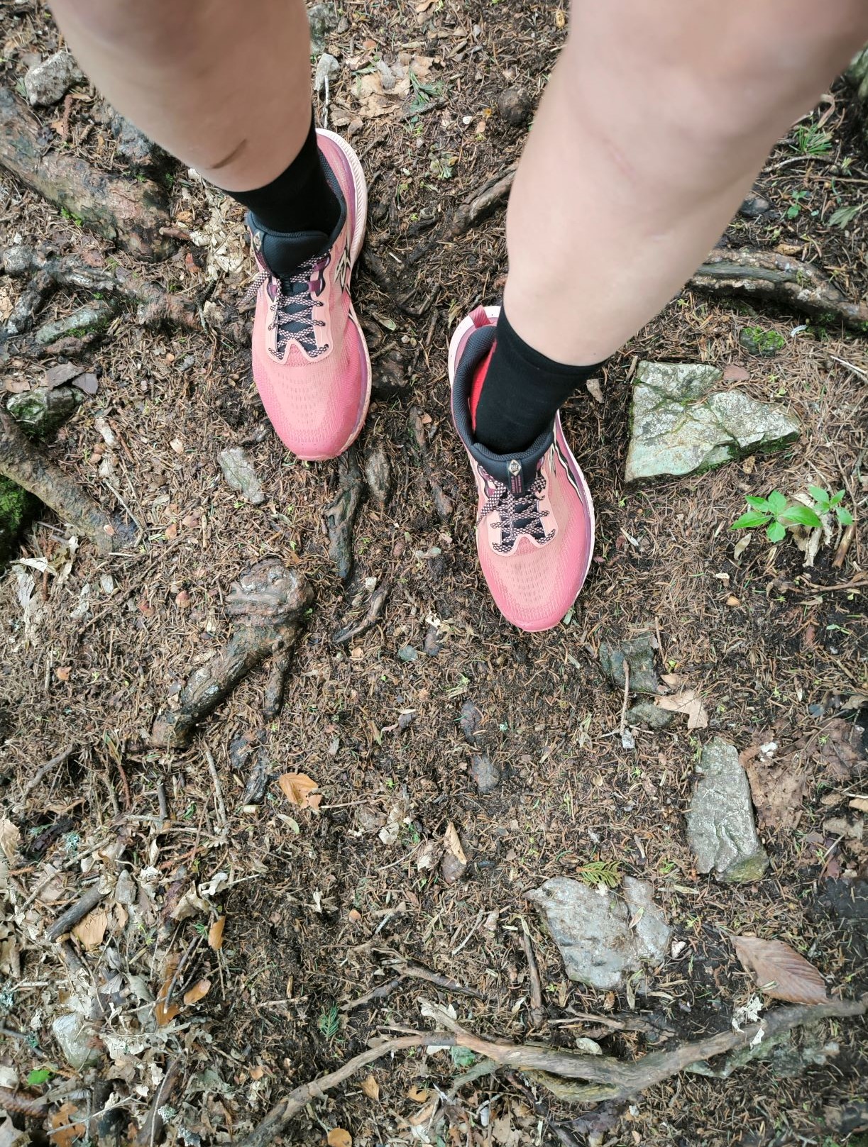 Trails