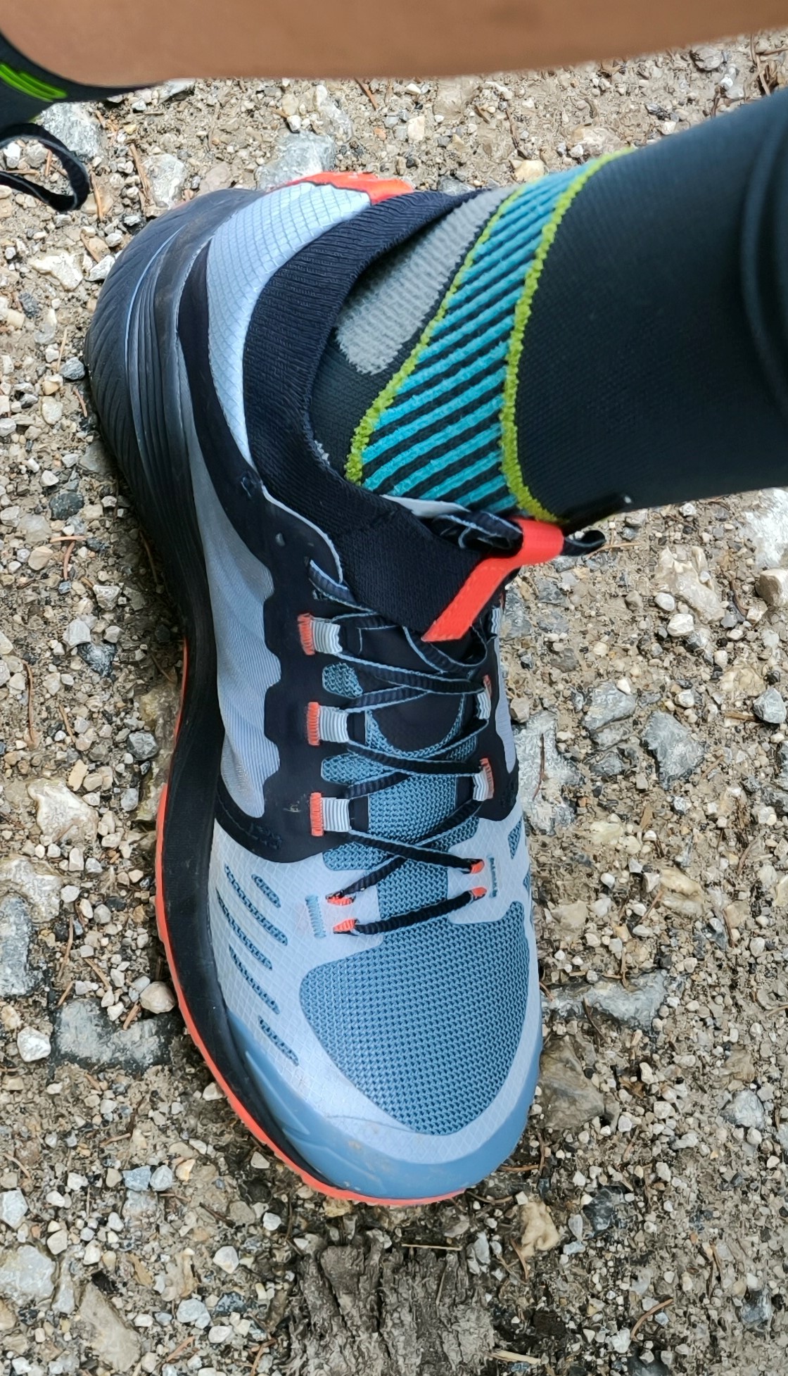 Schuhzunge