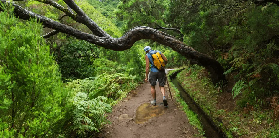 Madeira Wandern