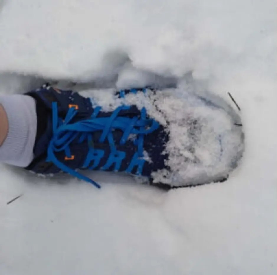 Laufschuh INOV-8 Roclite Ultra G 320
