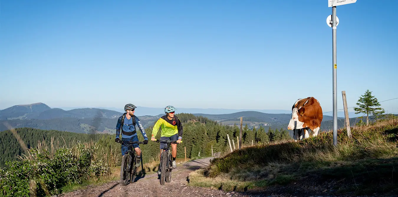 Gipfeltrail