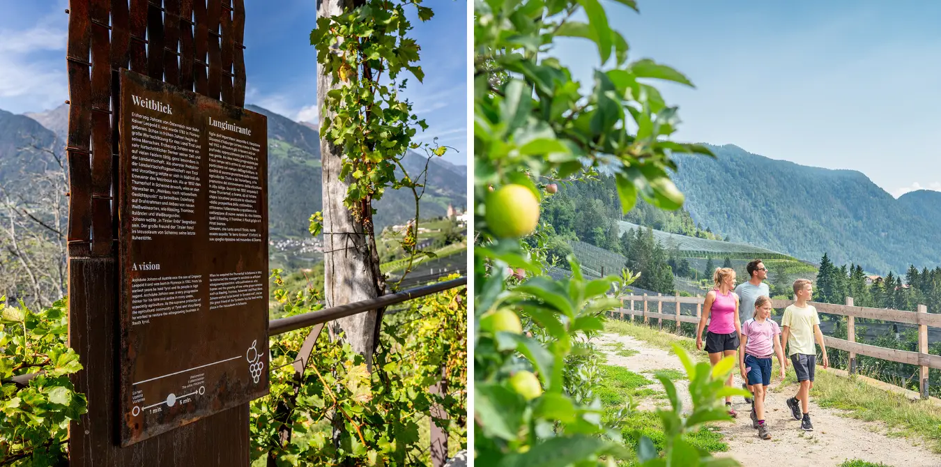 Wandern Schenna