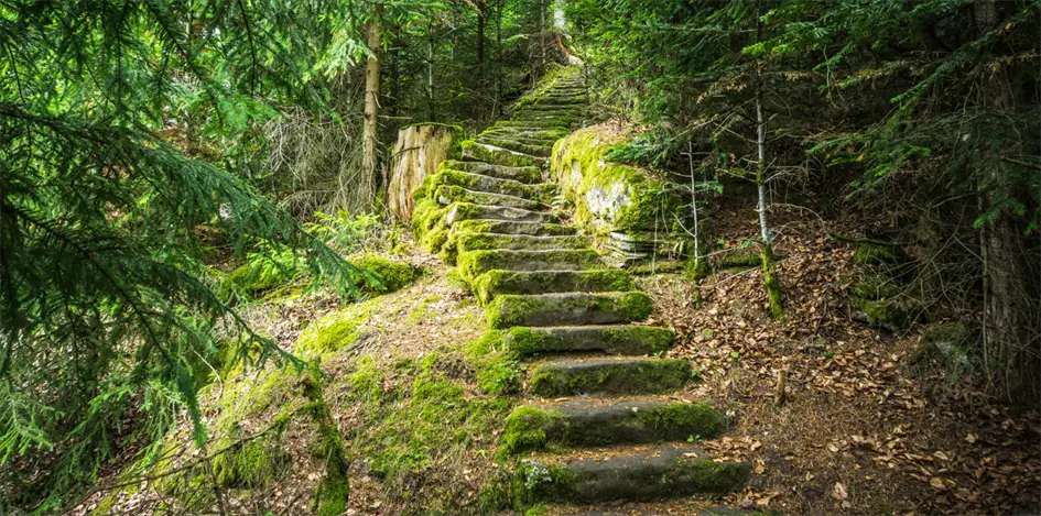 Nördlicher Schwarzwald Stiefelreisen
