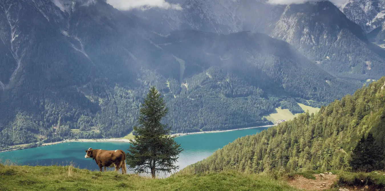 Auf dem Weg zur Rohanspitze