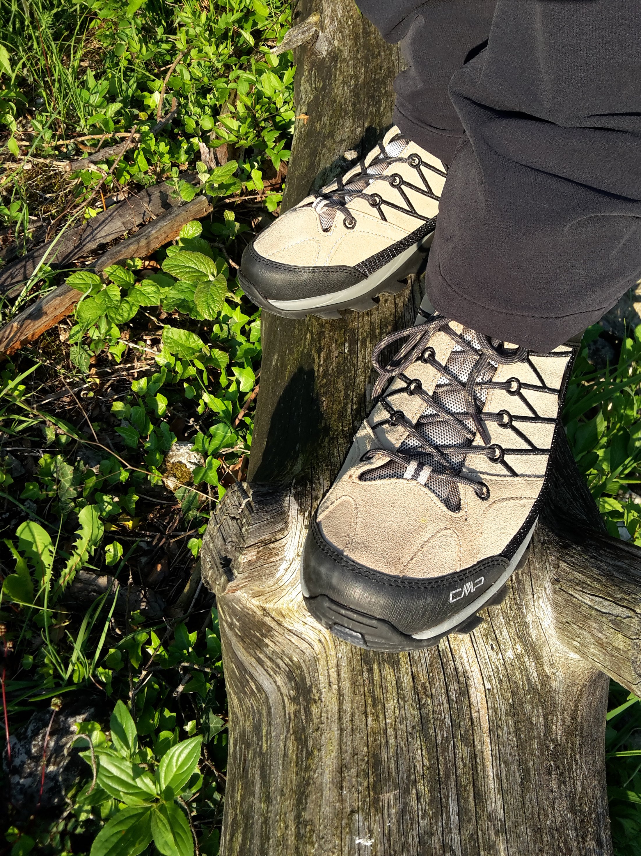 Schuh auf Baum